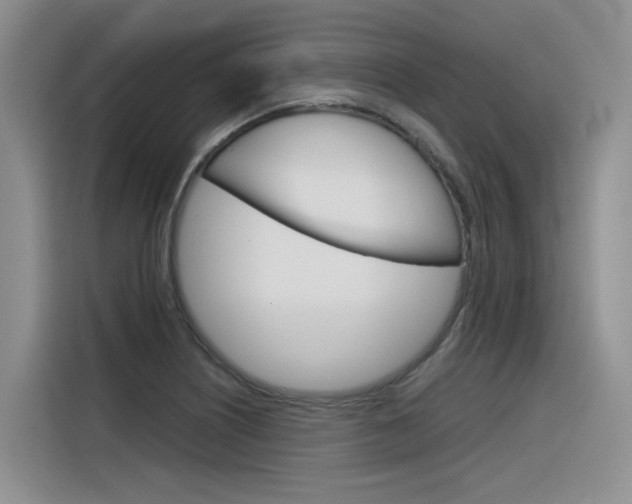X0000116391226200912020959