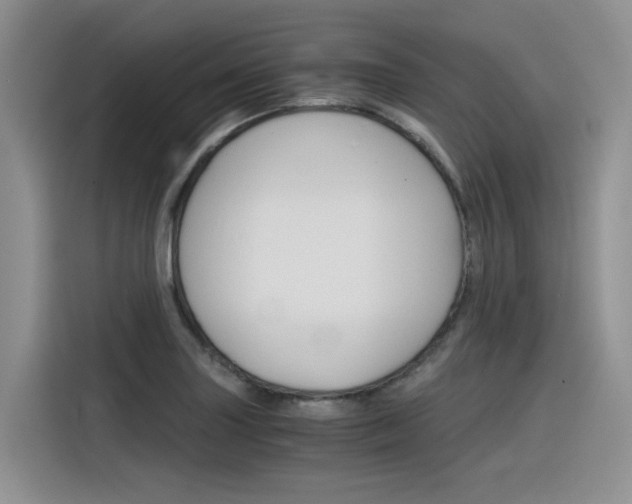 X0000116391227200912020959