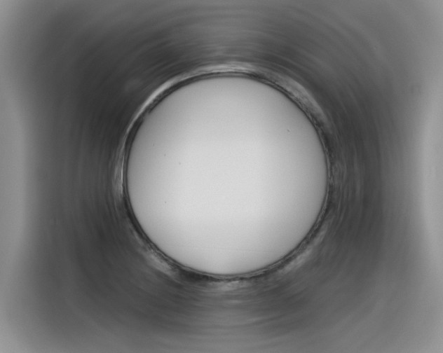 X0000116391228200912020959