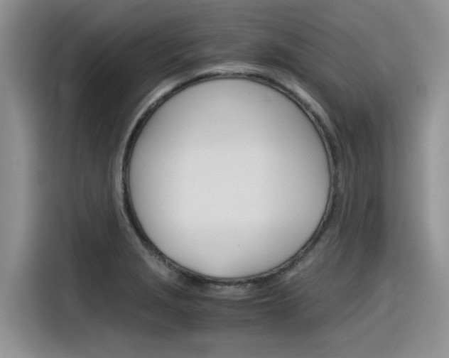 X0000116391229200912020959