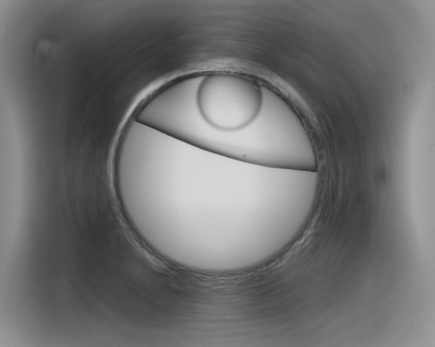 X0000116391230200912020959