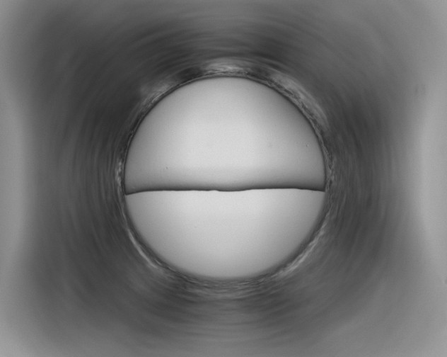 X0000116391233200912020959