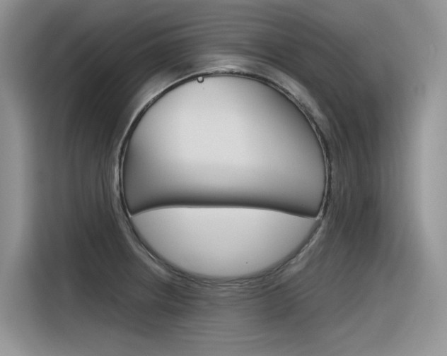 X0000116391234200912020959