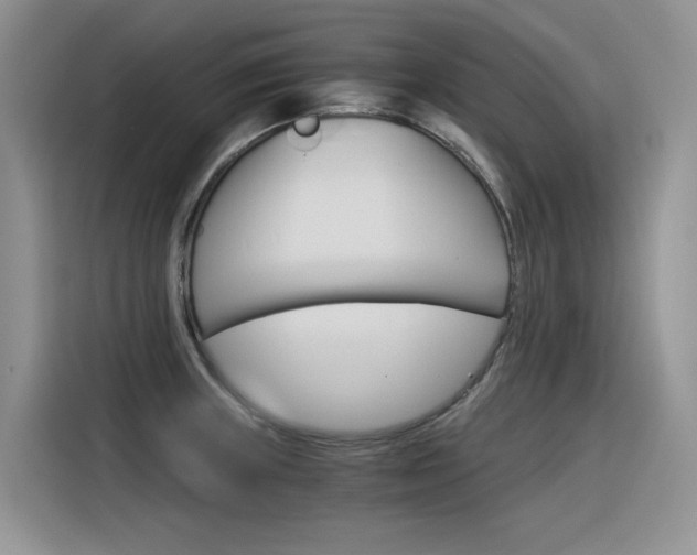 X0000116391235200912020959