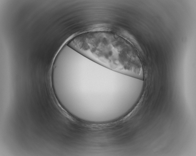 X0000116391236200912020959