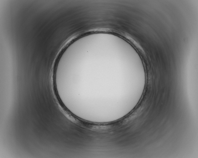 X0000116391237200912020959