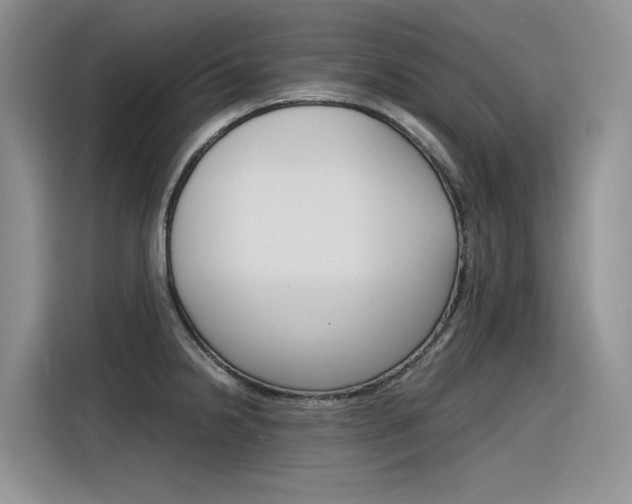 X0000116391238200912020959