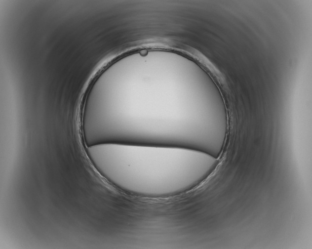 X0000116391240200912020959