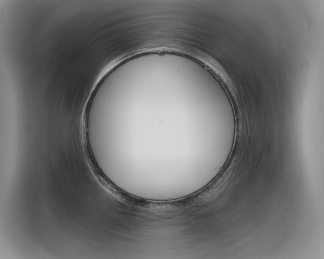X0000116391242200912020959