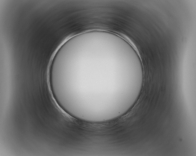 X0000116391243200912020959