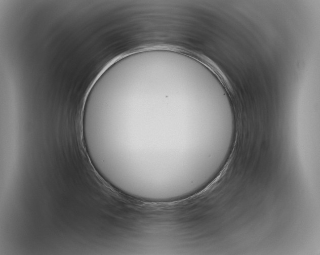 X0000116391244200912020959