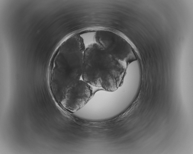 X0000116391245200912020959
