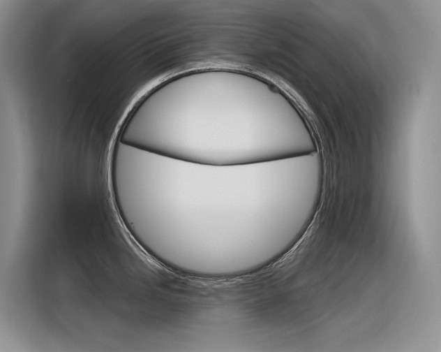 X0000116391246200912020959