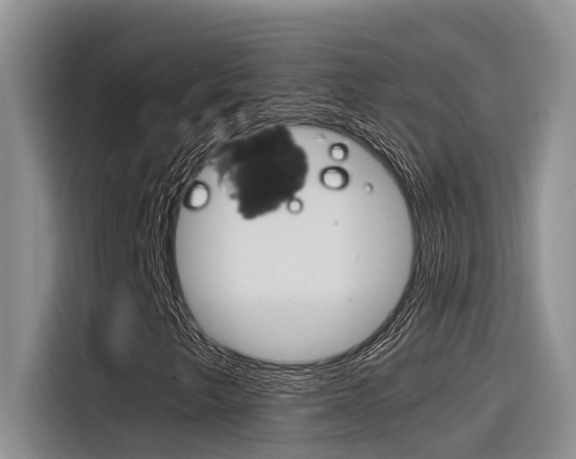 X0000116391249200912020959