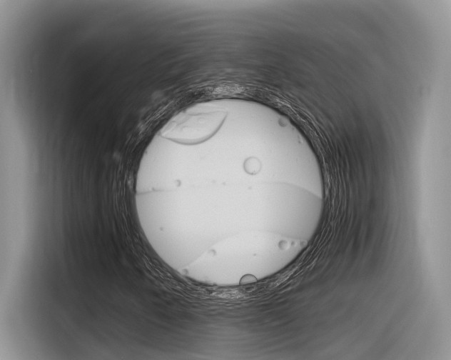 X0000116391250200912020959