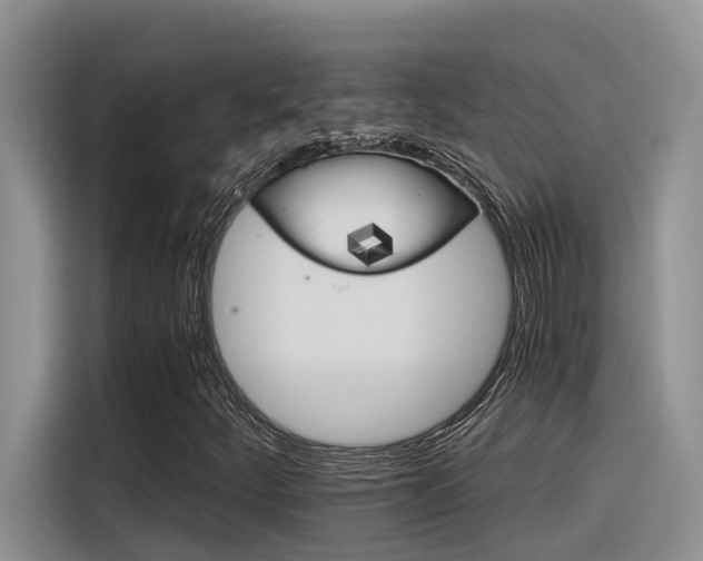 X0000116391252200912020959