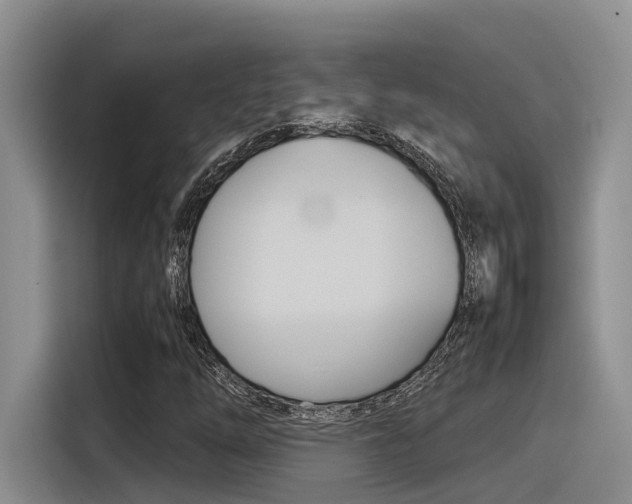 X0000116391254200912020959