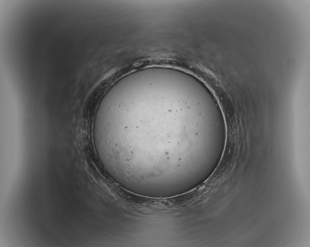 X0000116391255200912020959