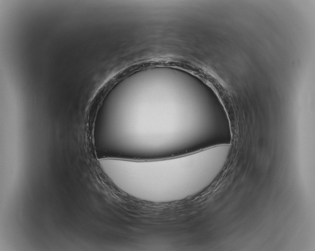 X0000116391256200912020959
