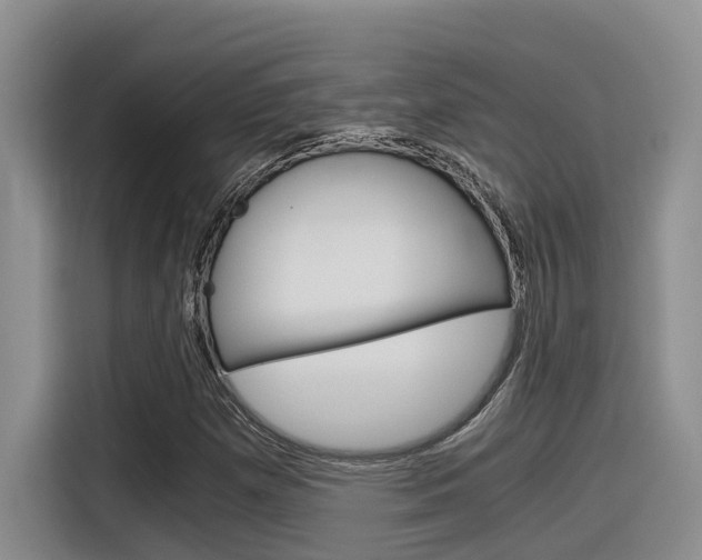 X0000116391257200912020959