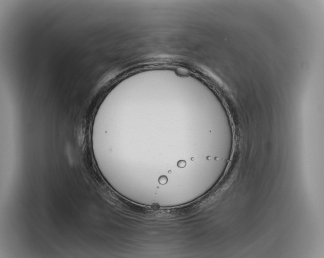 X0000116391259200912020959