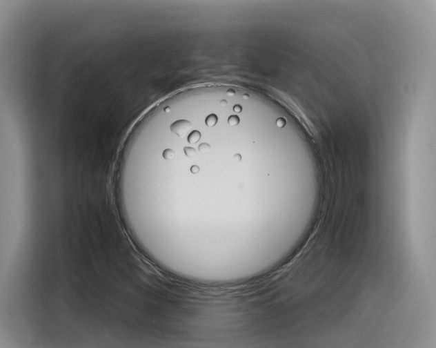 X0000116391260200912020959