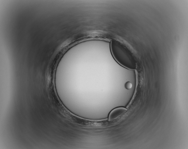 X0000116391261200912020959
