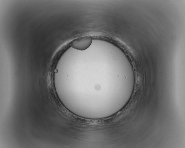 X0000116391262200912020959