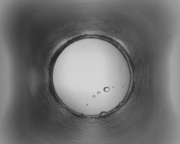 X0000116391263200912020959