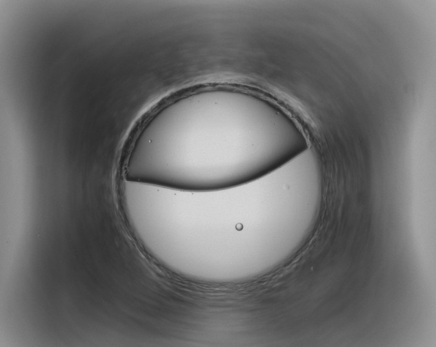 X0000116391264200912020959