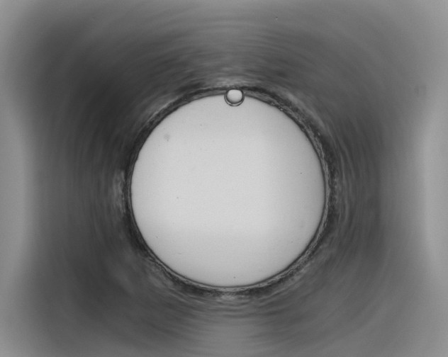 X0000116391265200912020959