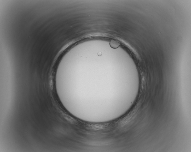 X0000116391266200912020958