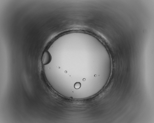 X0000116391267200912020958