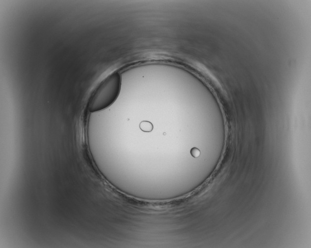 X0000116391269200912020958