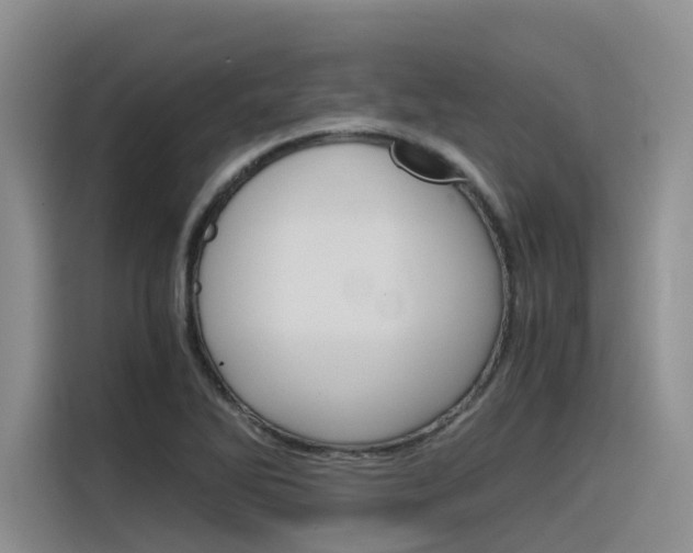 X0000116391270200912020958
