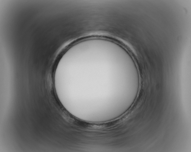 X0000116391271200912020958