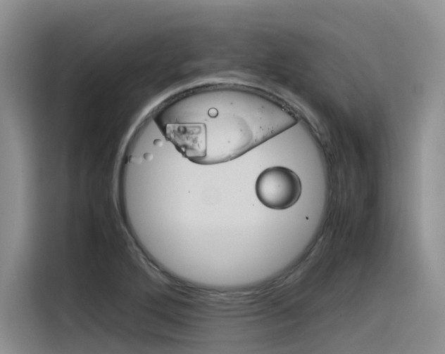 X0000116391272200912020958