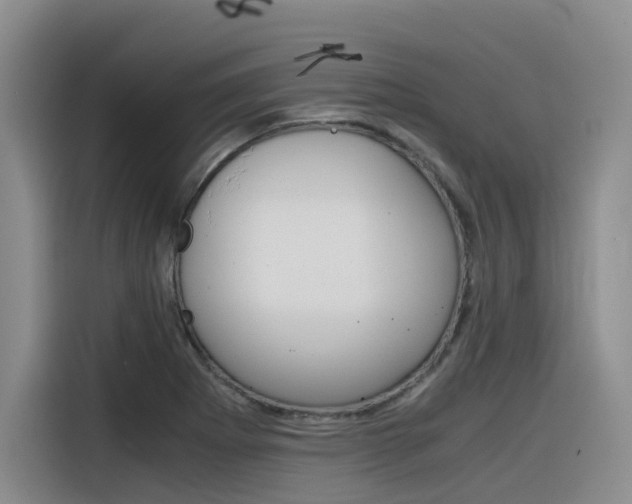 X0000116391273200912020958