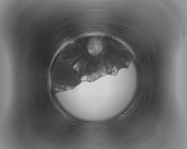 X0000116391274200912020958
