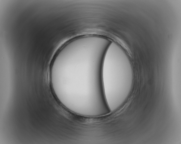 X0000116391275200912020958