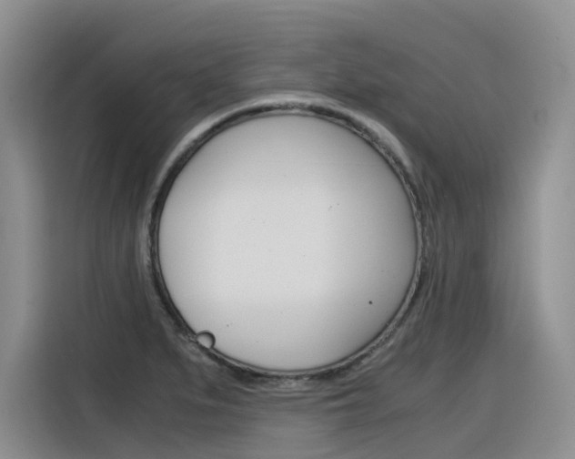 X0000116391279200912020958