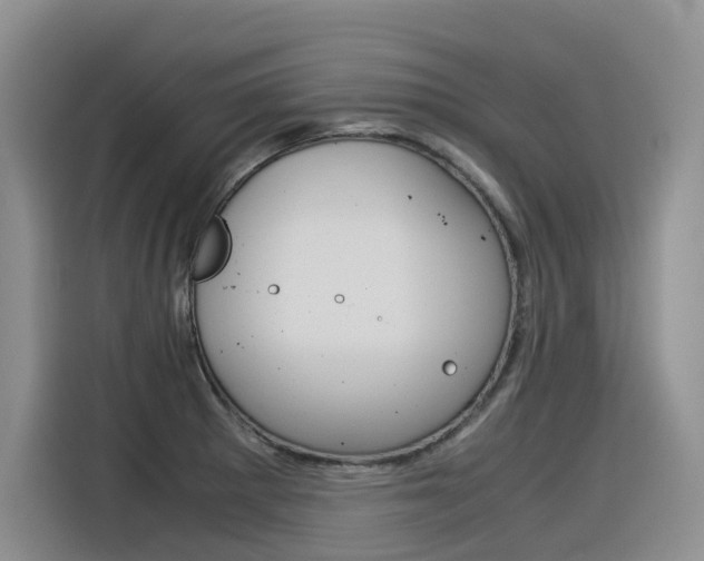 X0000116391281200912020958