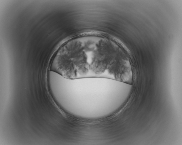 X0000116391282200912020958