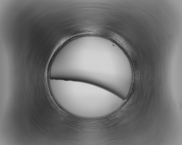 X0000116391283200912020958