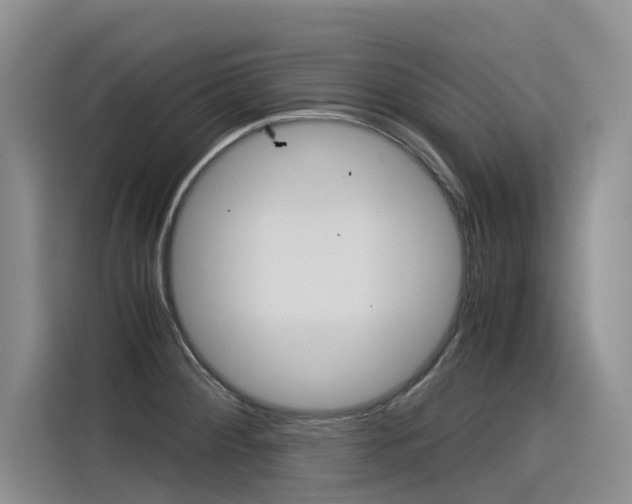 X0000116391284200912020958