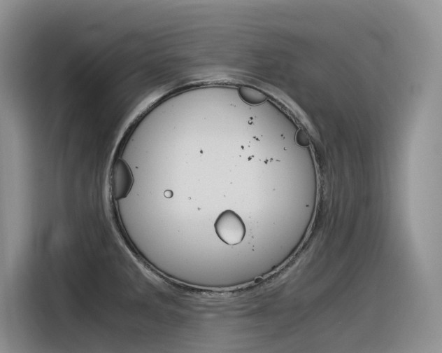 X0000116391285200912020958