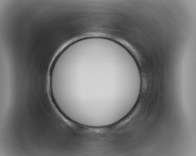X0000116391286200912020958
