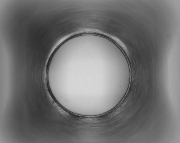 X0000116391287200912020958