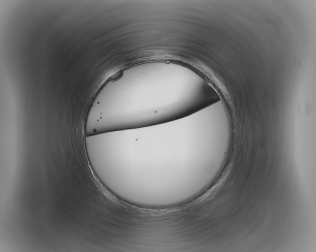 X0000116391289200912020958