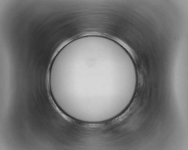 X0000116391290200912020958